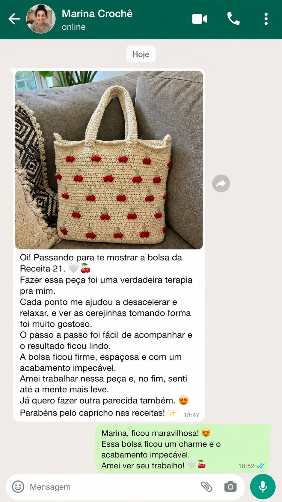 Print de conversa de WhatsApp — depoimento 1