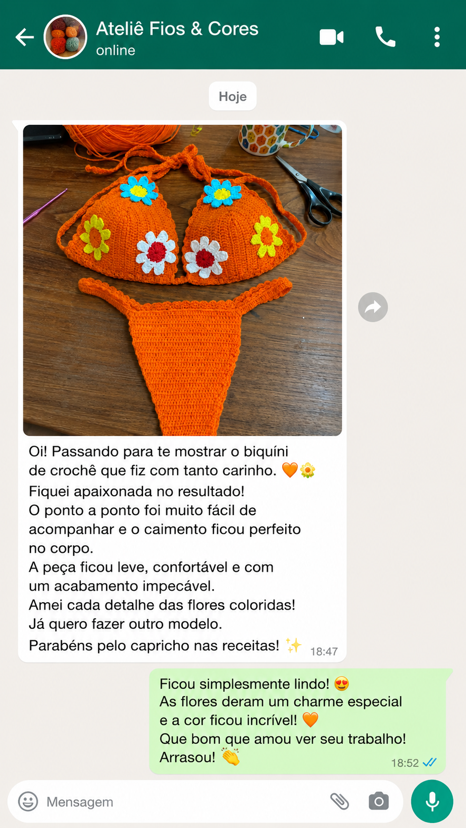 Print de conversa de WhatsApp — depoimento 2